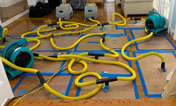 Professional Water Damage Restoration technician working in Ridgecrest, CA